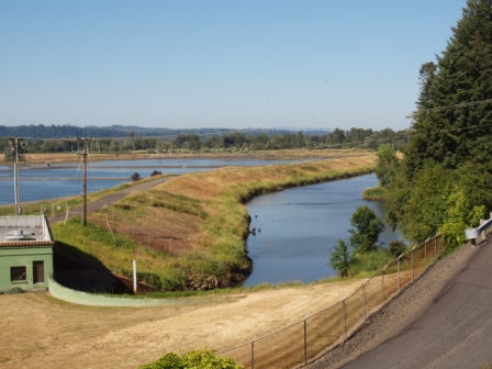 ditch 6 levee